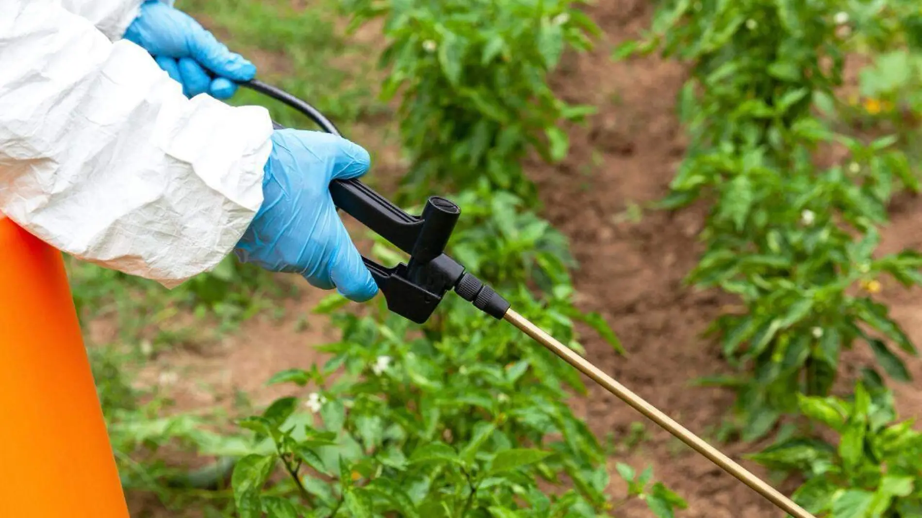 Agroquímicos deben usarse como medicina para el campo gracias a su tecnología